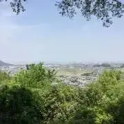 エースの画像