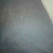 カメレオンマン