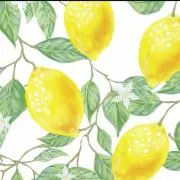 レモンの画像