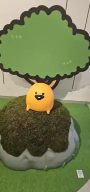 猫の画像