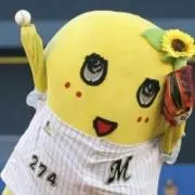 よしき～セール実施中～