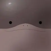 かみゅの画像