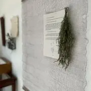 tii.ino