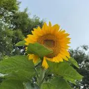 青丹よし【２１時就寝】の画像