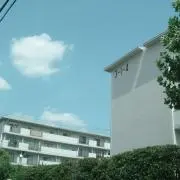 こーの画像