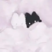 Y 【プロフ確認よろしくお願いします】の画像
