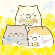 mtog324の画像