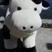 ビリーの画像