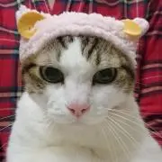 海な人！