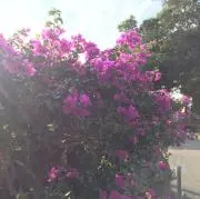 kbの画像
