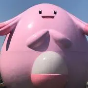 Mikoの画像