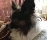 ナイラ