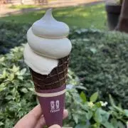のんちゃんの画像