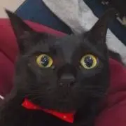 ゆん　(=^・^=)の画像