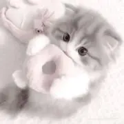 ぴの画像