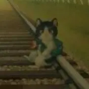 ☆猫☆