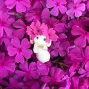 ちゃこ