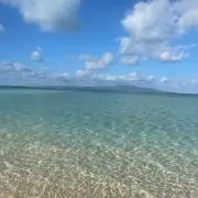 太郎の画像