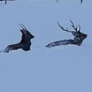 もぐもぐ