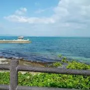 Keiの画像