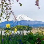makiの画像