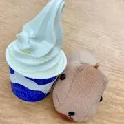 鮪の缶詰の画像