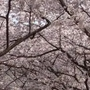かずくん☆の画像