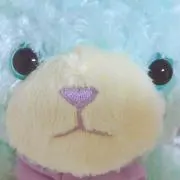 さくらの画像