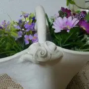 ベリールの画像