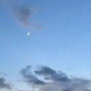 こんぶ