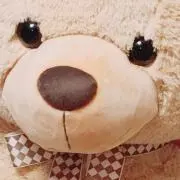 こむたんの画像