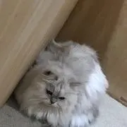 ♡