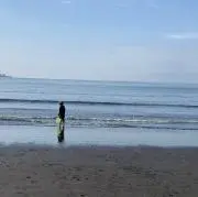 tkの画像