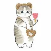 チワワ☆