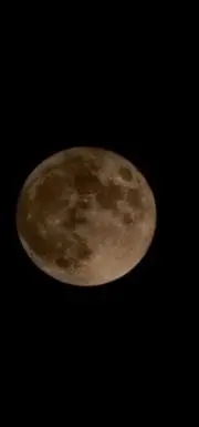 Krm❀プロフ一読お願い致しますの画像