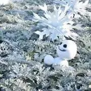 羽瑠の画像