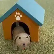 sawaの画像