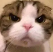 アキラの画像