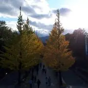 KAWASAKI(プロフ必読)の画像