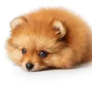 kumax