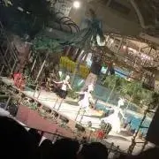 Rの画像