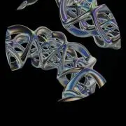 謙虚の画像