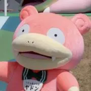 やどんのおれんじの画像