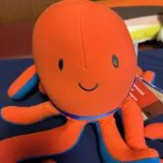 ゆきの画像