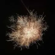 hanabi