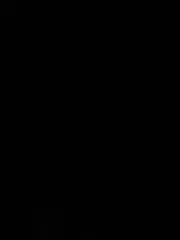 REN