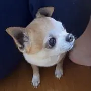 reiの画像