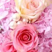 チロル✩