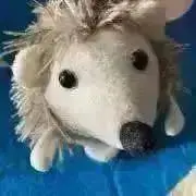 はりねずみんの画像