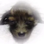ふみりん♡